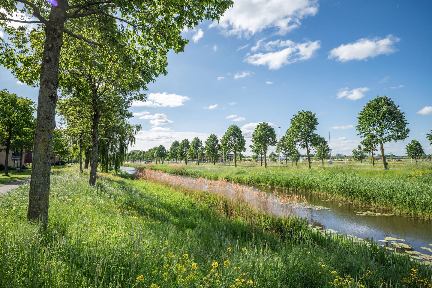 Foto 40 van Manderhof 15