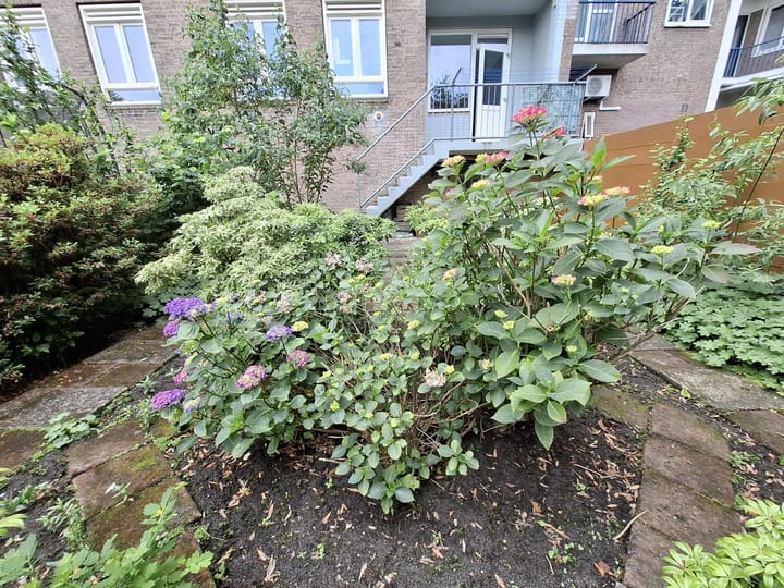 Foto 2 van Stadhoudersweg 53-A