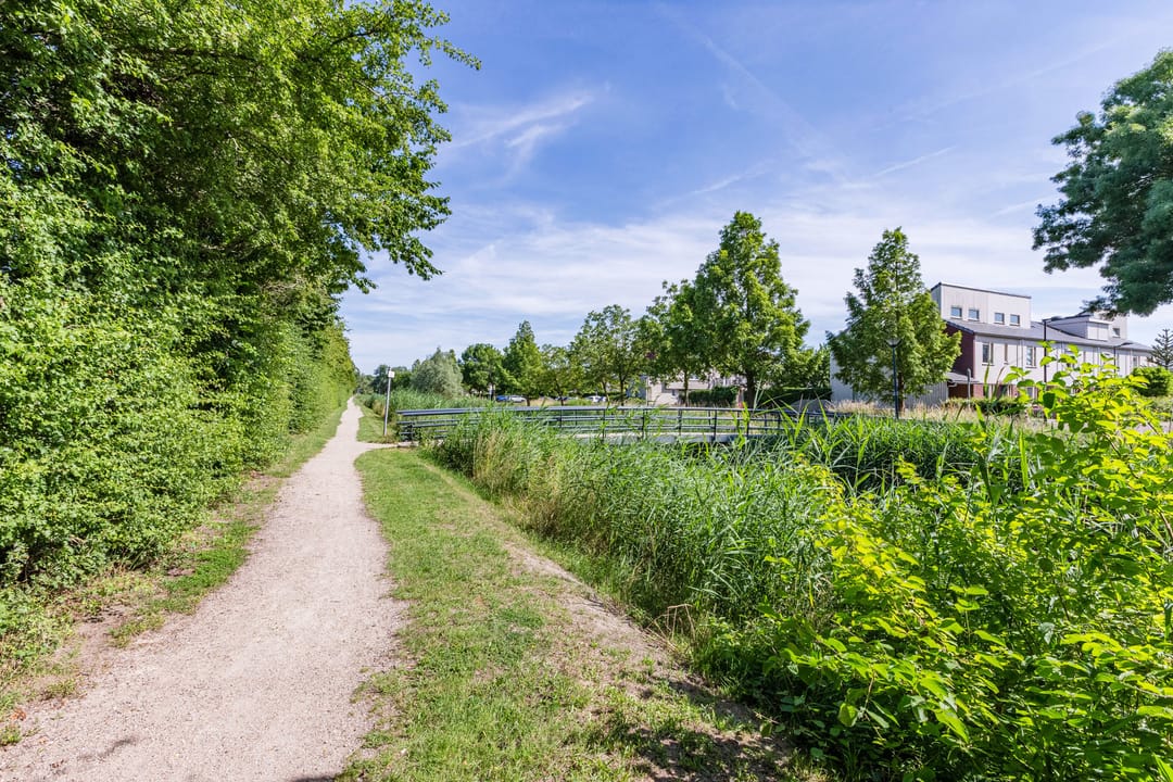 Photo 53 of Fortius 4
