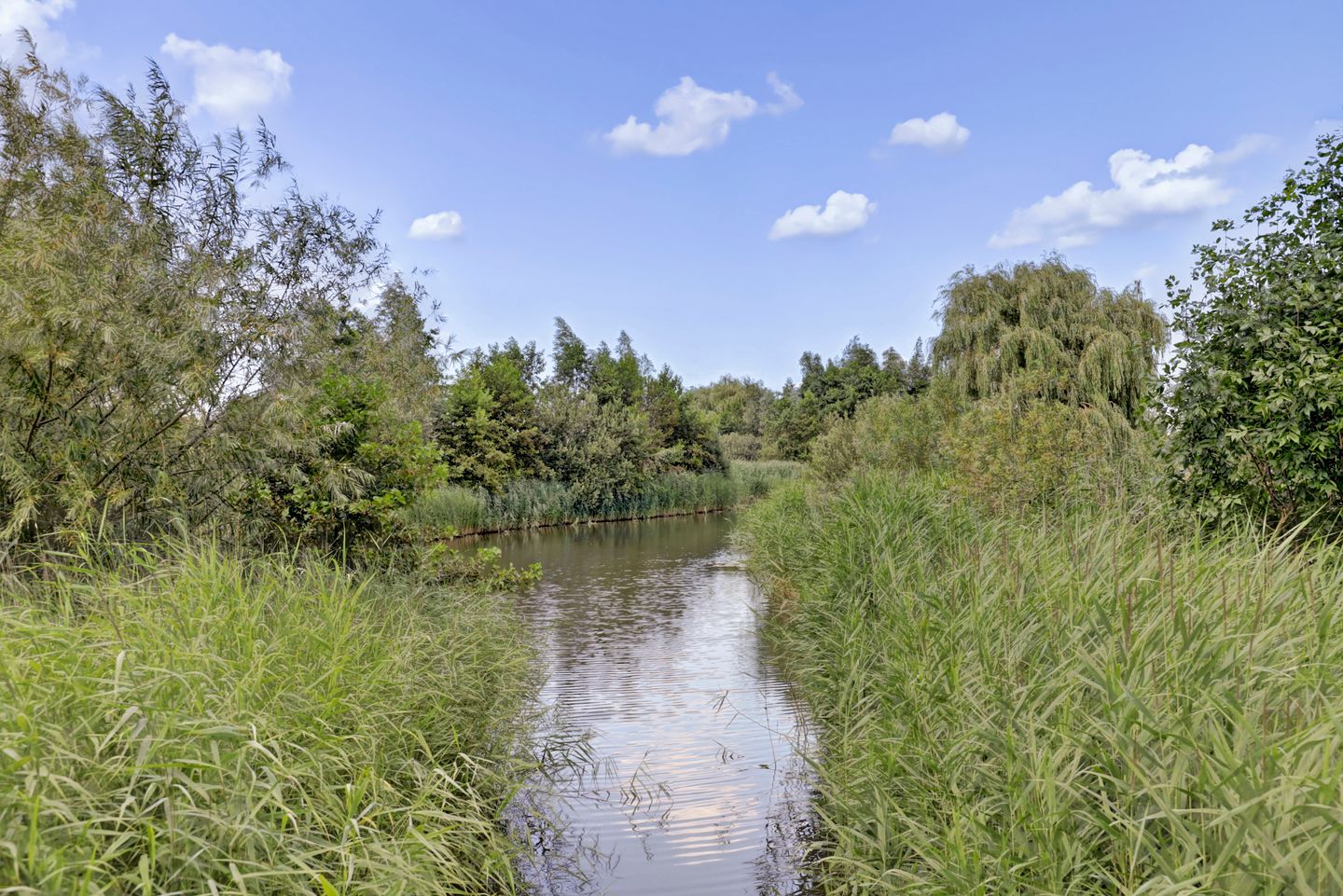 Foto 40 van Marijkelaan 9-06