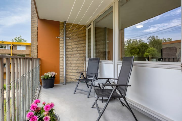 Photo 4 of Meijhorst 3339