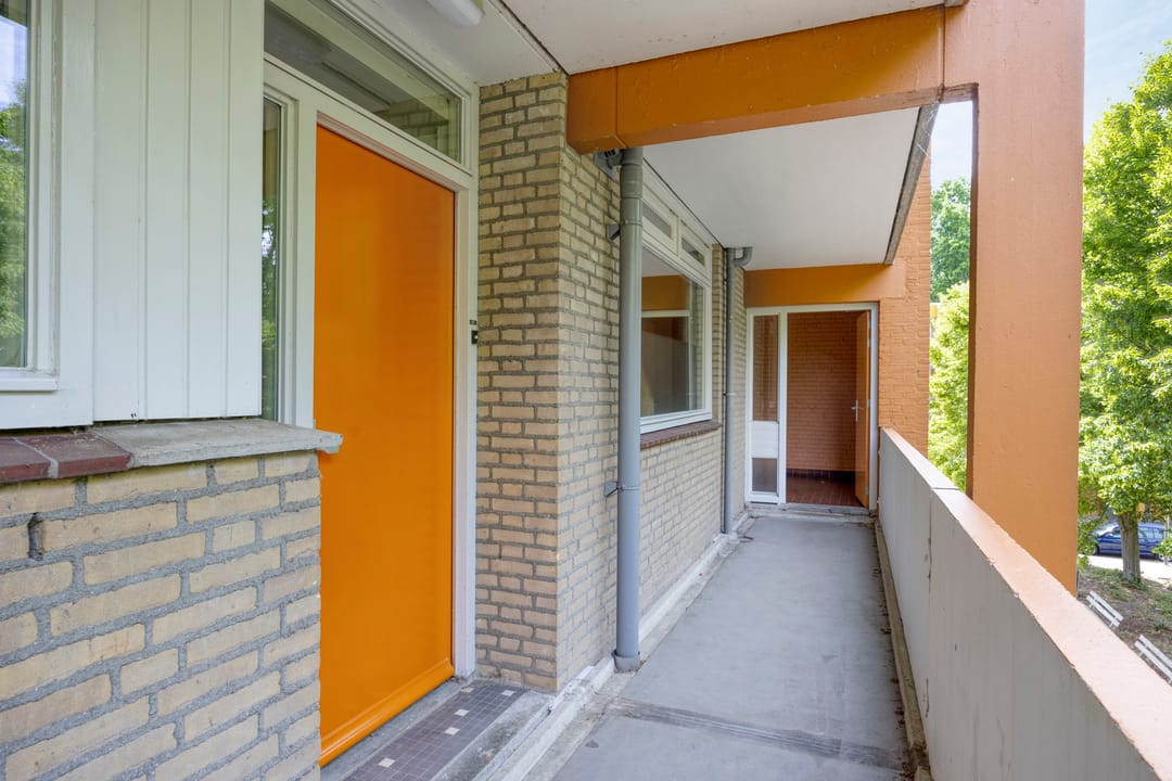 Photo 7 of Meijhorst 3339