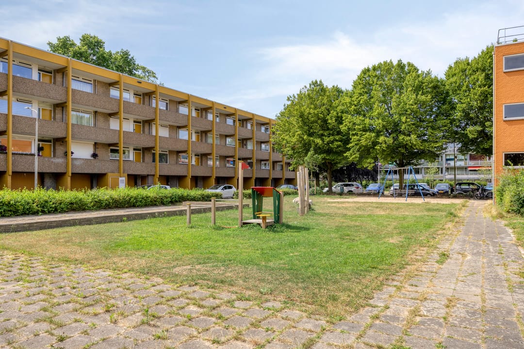 Photo 31 of Meijhorst 3339