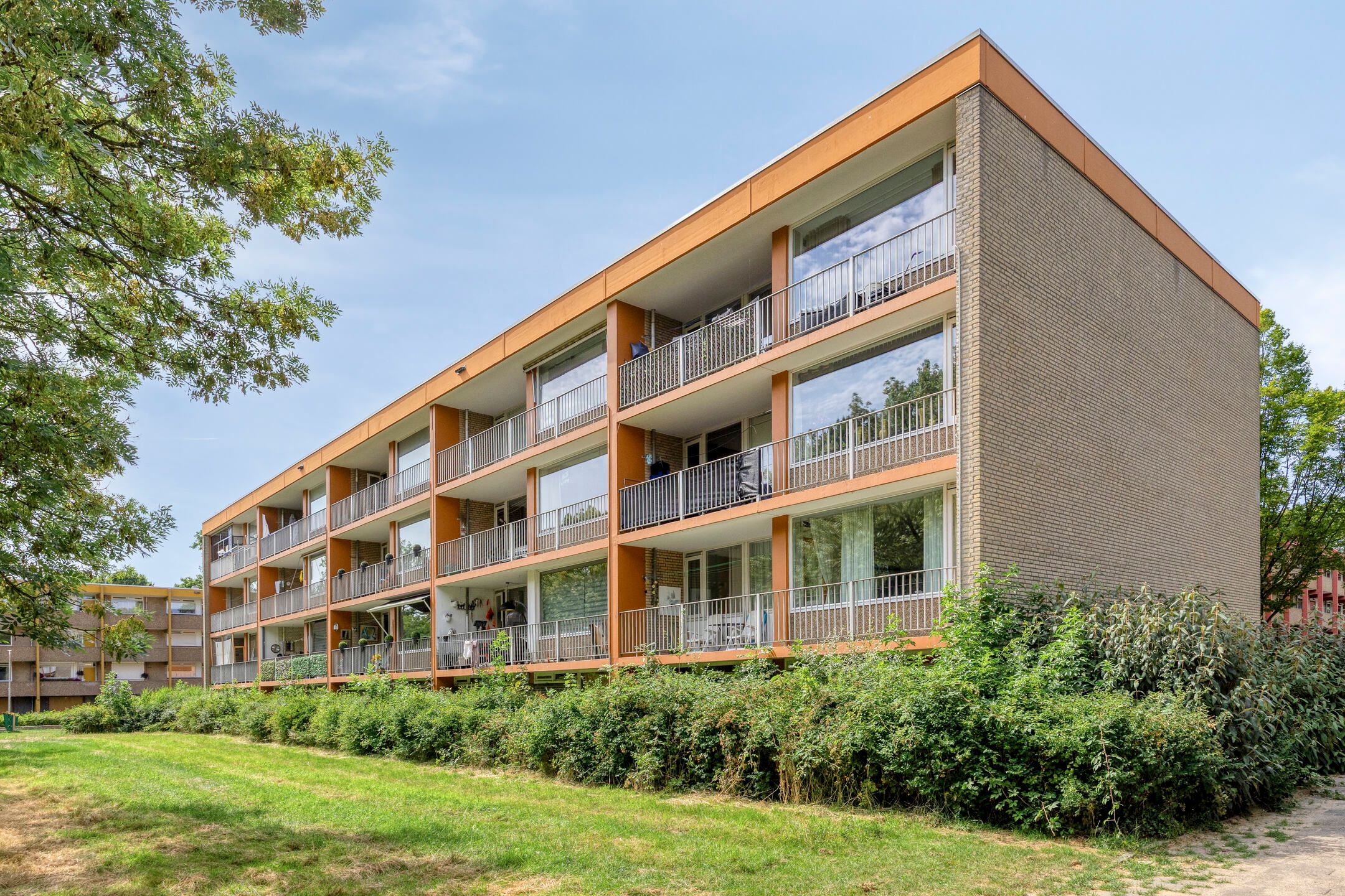 Photo 30 of Meijhorst 3339