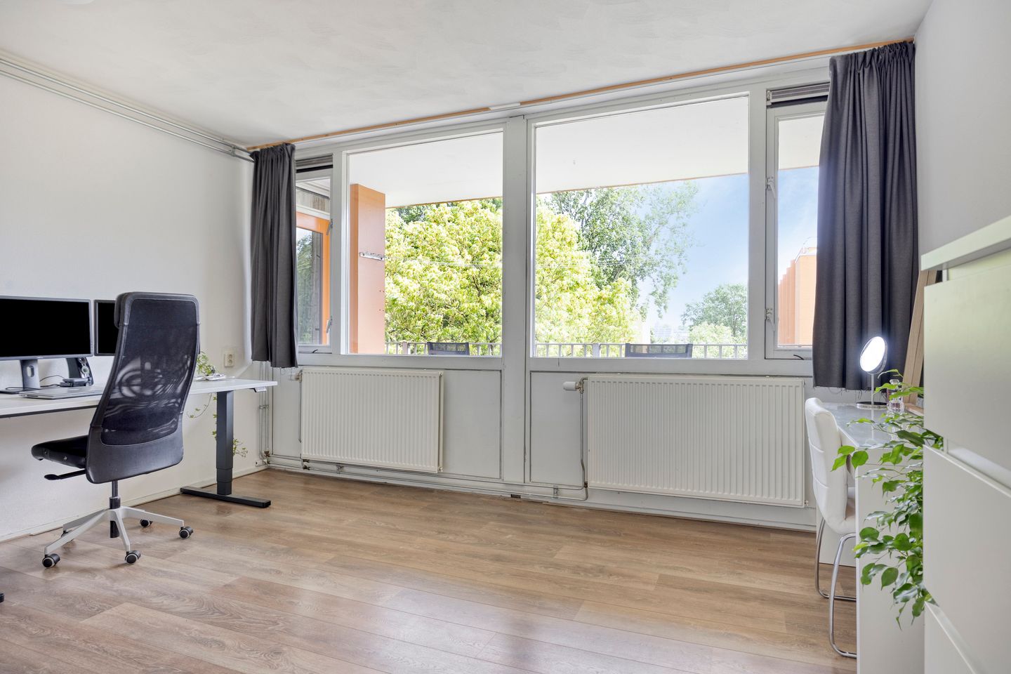 Photo 20 of Meijhorst 3339