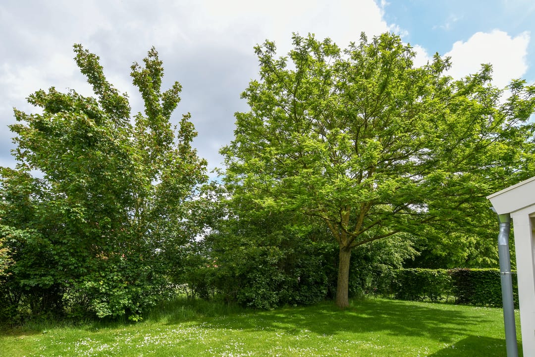 Photo 28 of Buitenhof de Leistert 88
