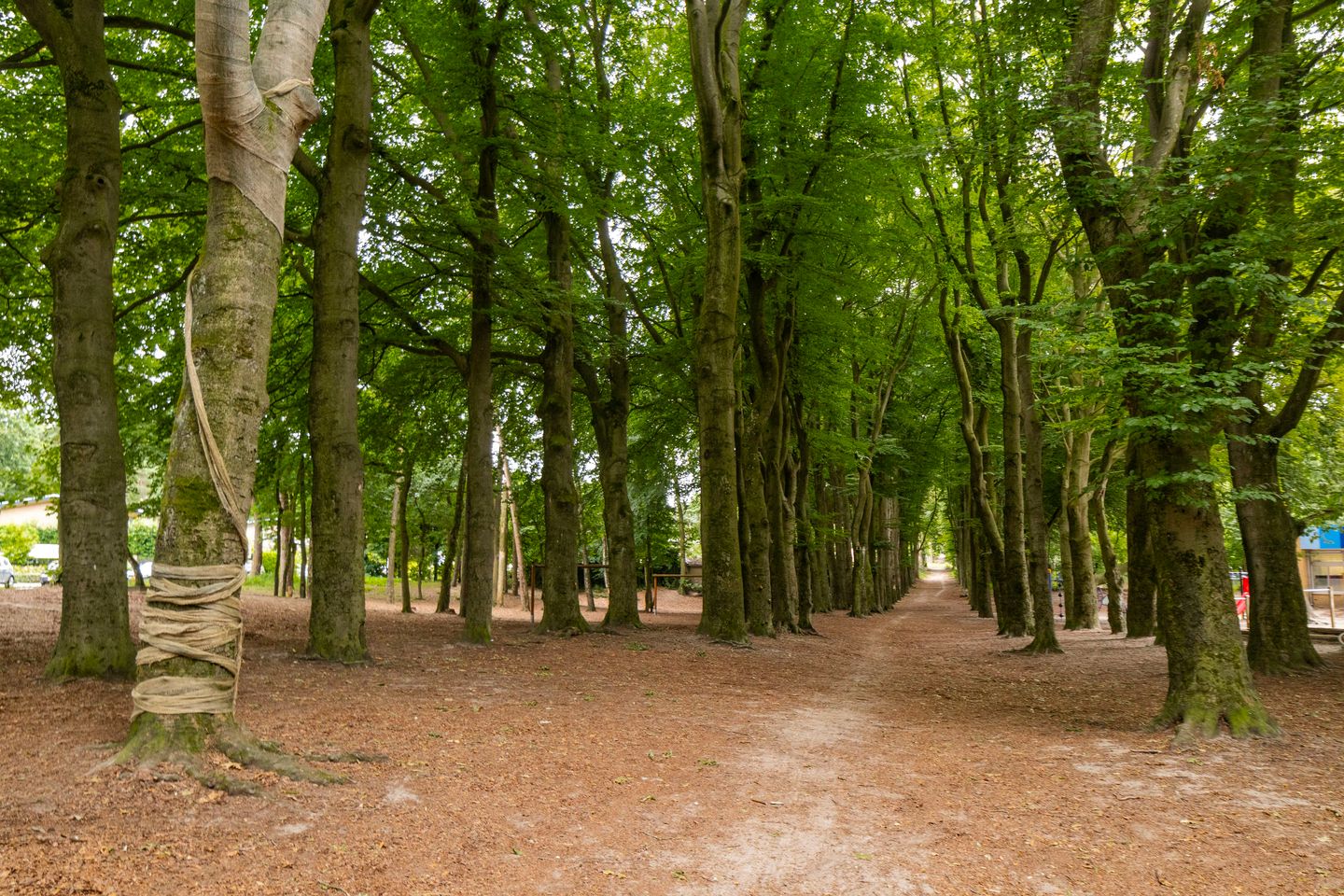 Photo 49 of Buurtscheuterlaan 3