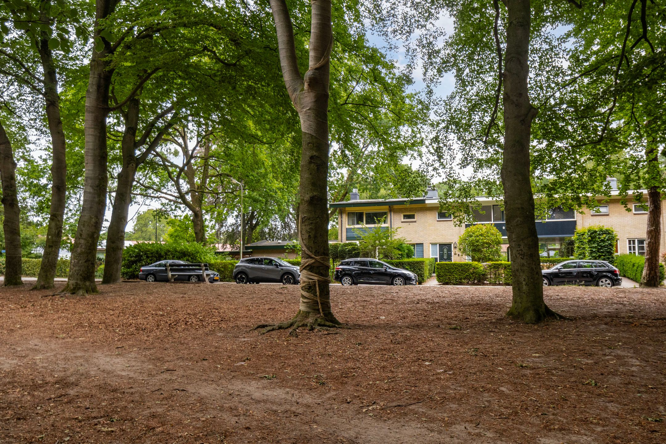 Photo 48 of Buurtscheuterlaan 3