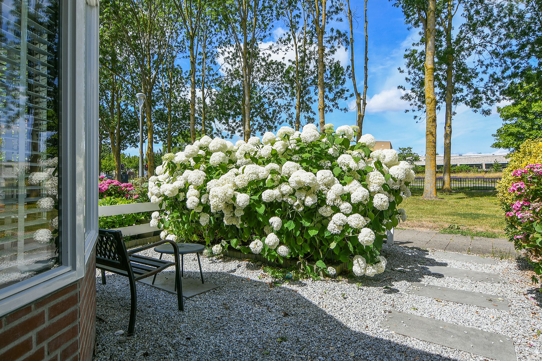 Photo 6 of Tolheksbos 27