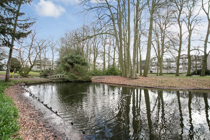 Foto 4 van De Braak 98