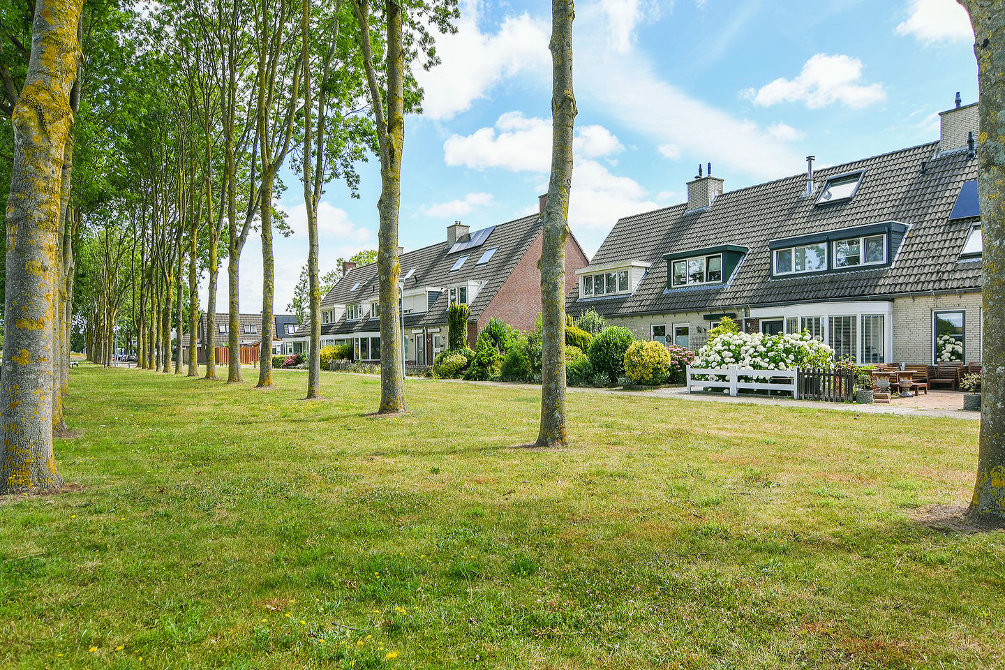Photo 4 of Tolheksbos 27