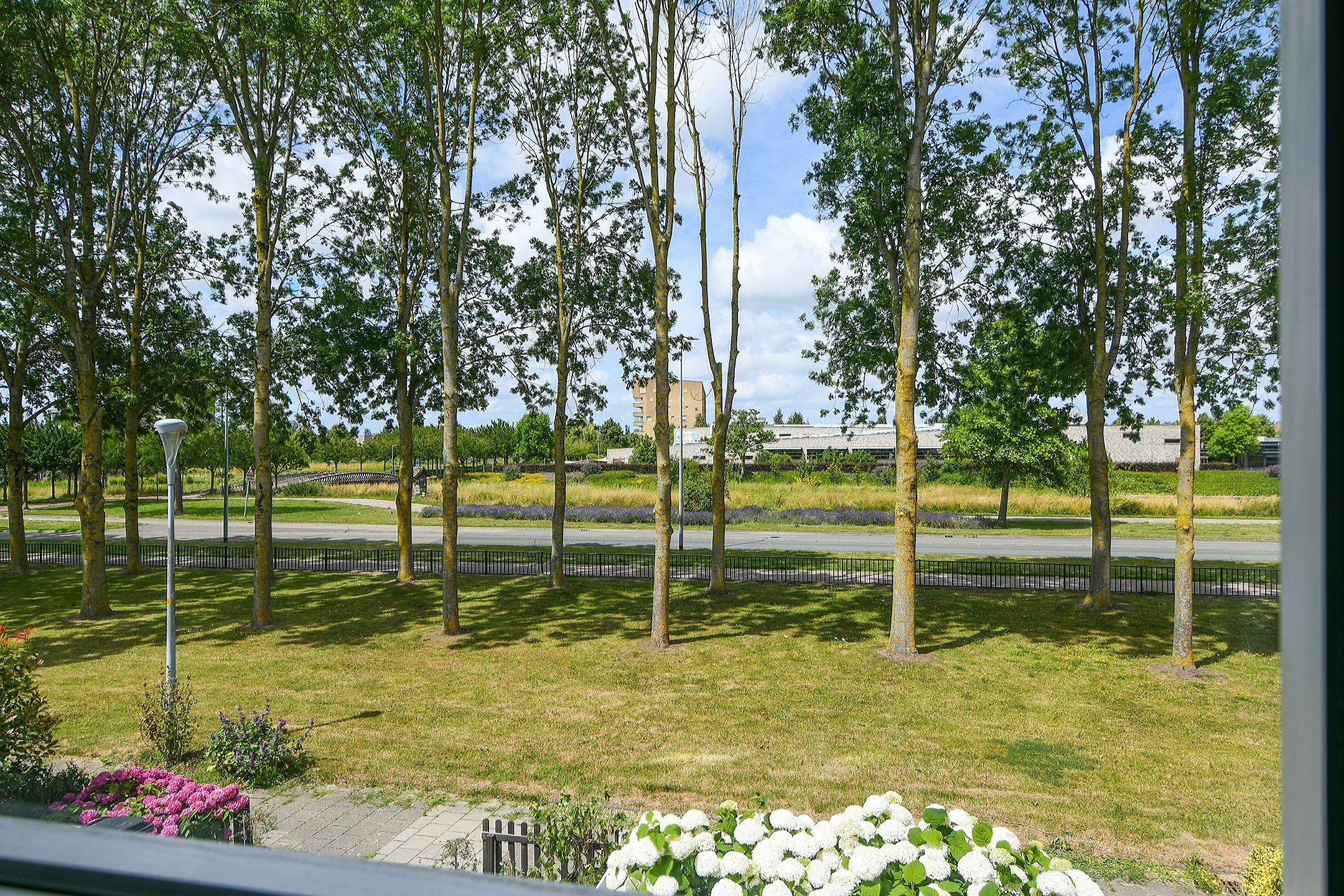 Photo 33 of Tolheksbos 27