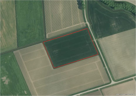 Bekijk foto's