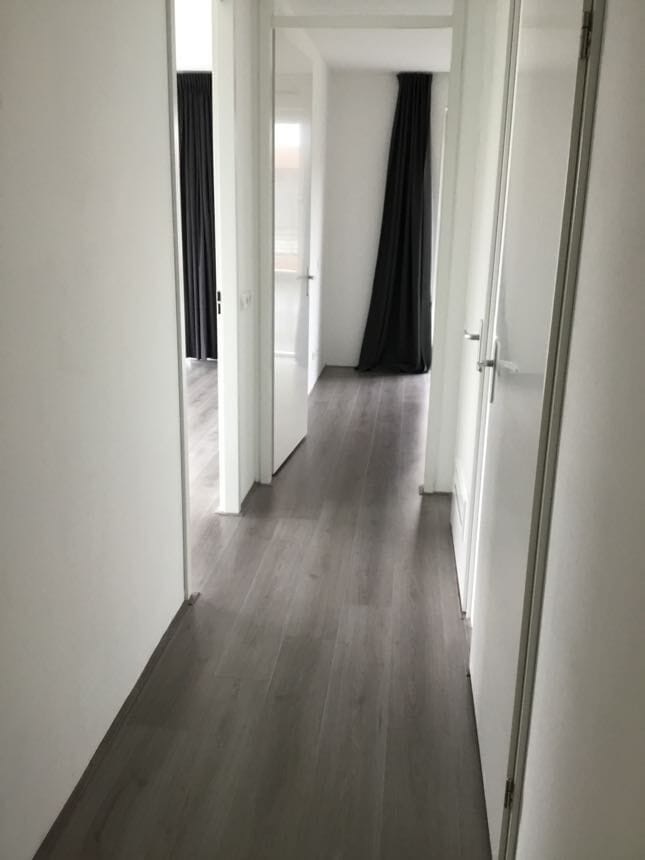 Foto 7 van Stekeldijk 33