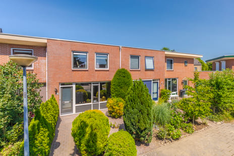 Goudreinet thumbnail