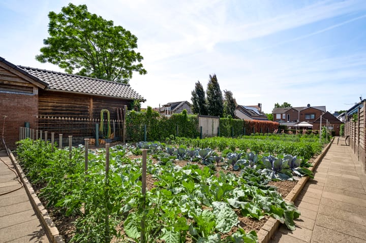 Tussenwoning te koop: Burgemeester thomas wackersstraat 23, Roermond