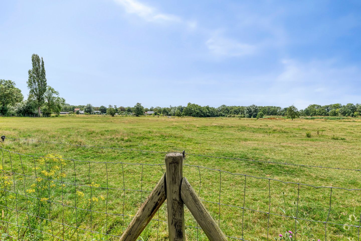 Foto 4 van De Heuvel 15