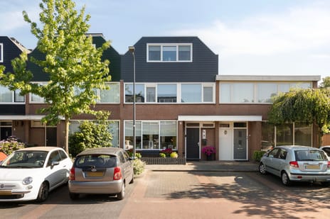 Pieter Kleijnstraat thumbnail