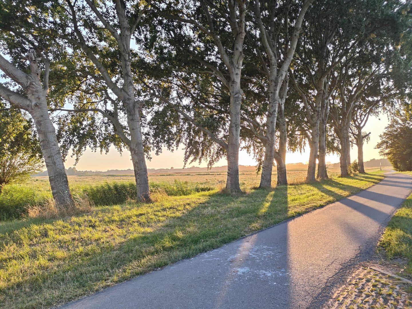 Photo 55 of Oude Bovendijk 287-B