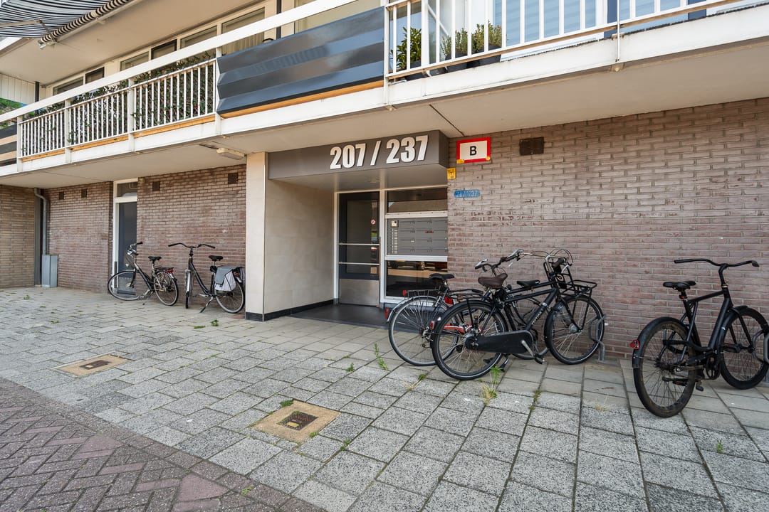 Foto 43 van Spreeuwenstraat 225