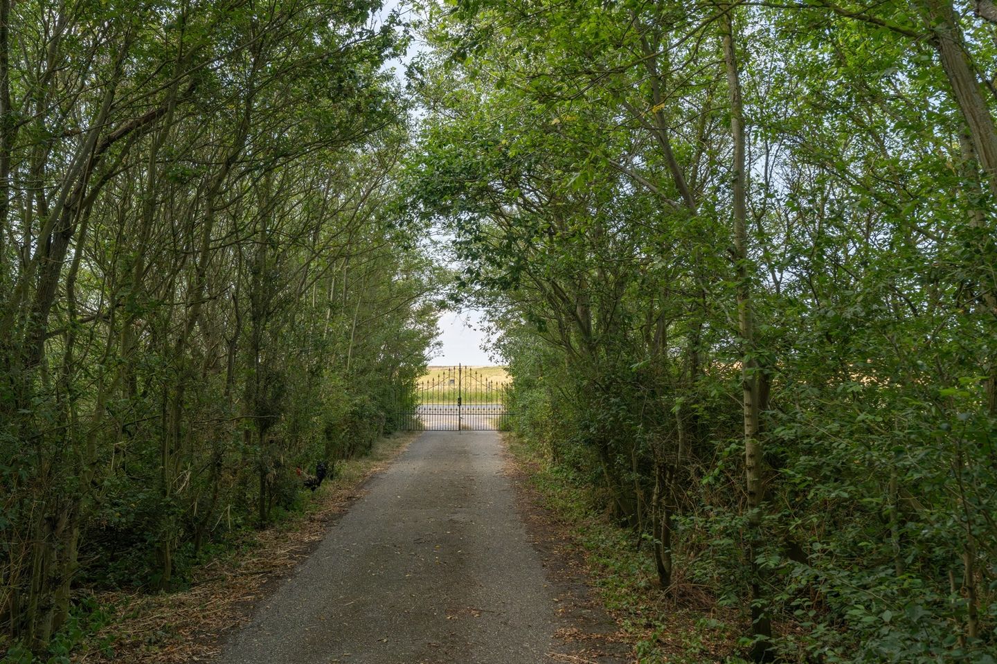 Photo 35 of Provincialeweg 8