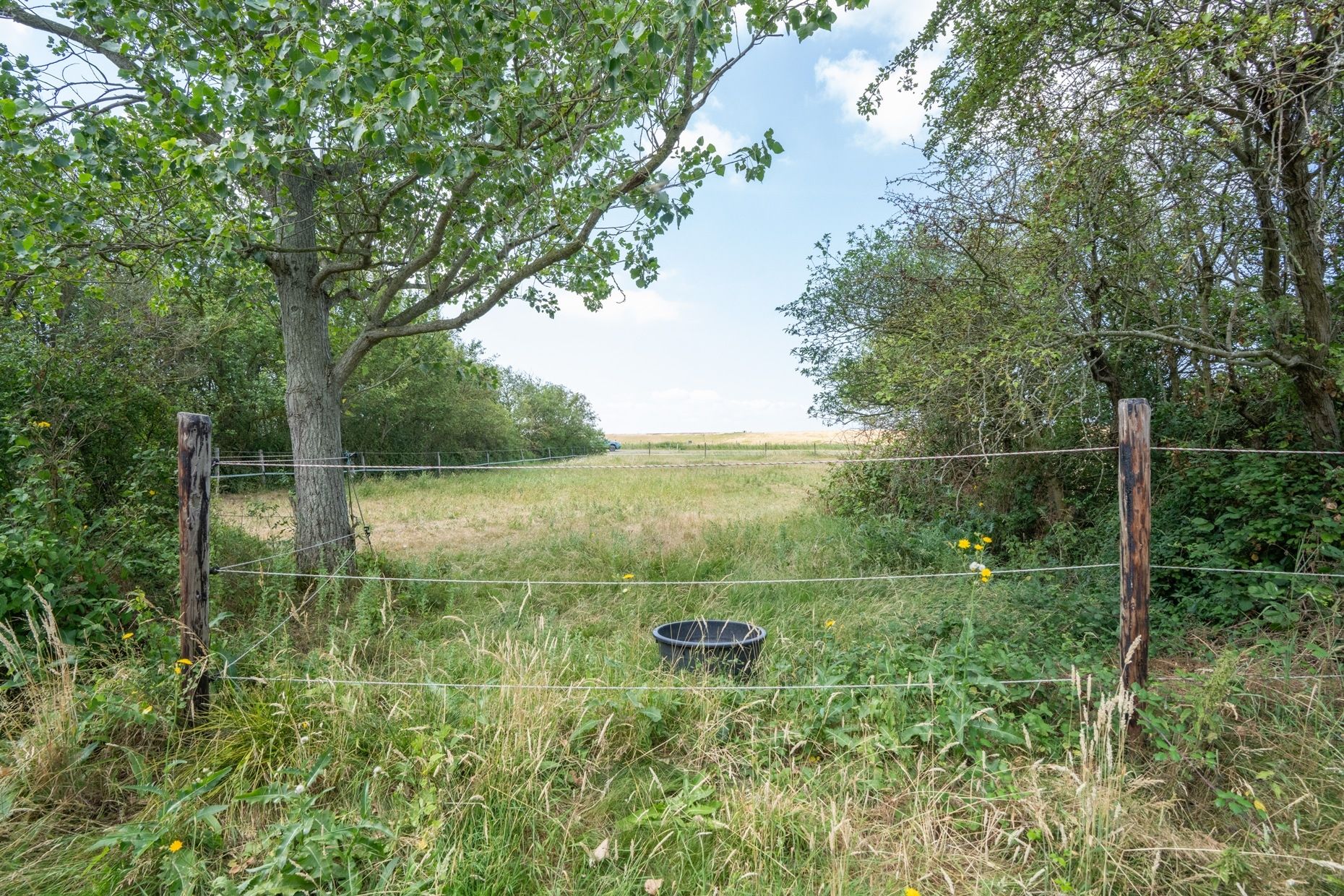 Photo 30 of Provincialeweg 8