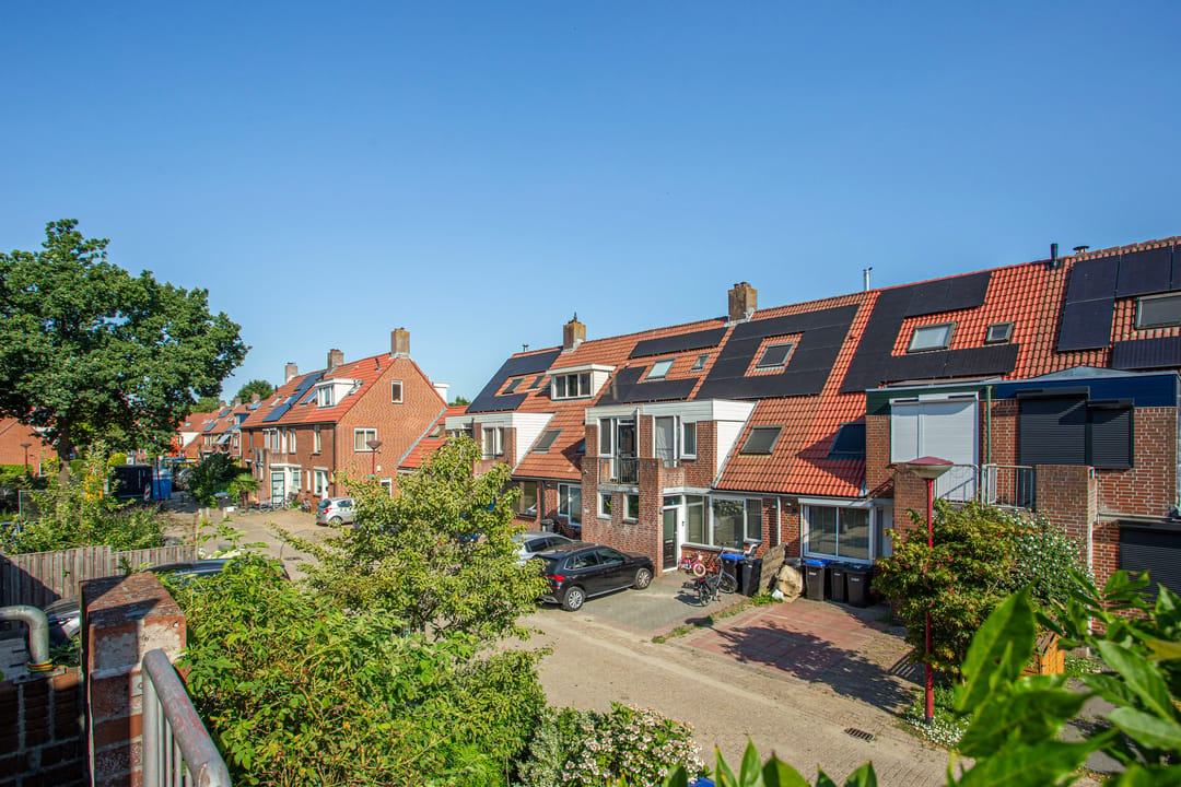 Photo 22 of Goudvink 34