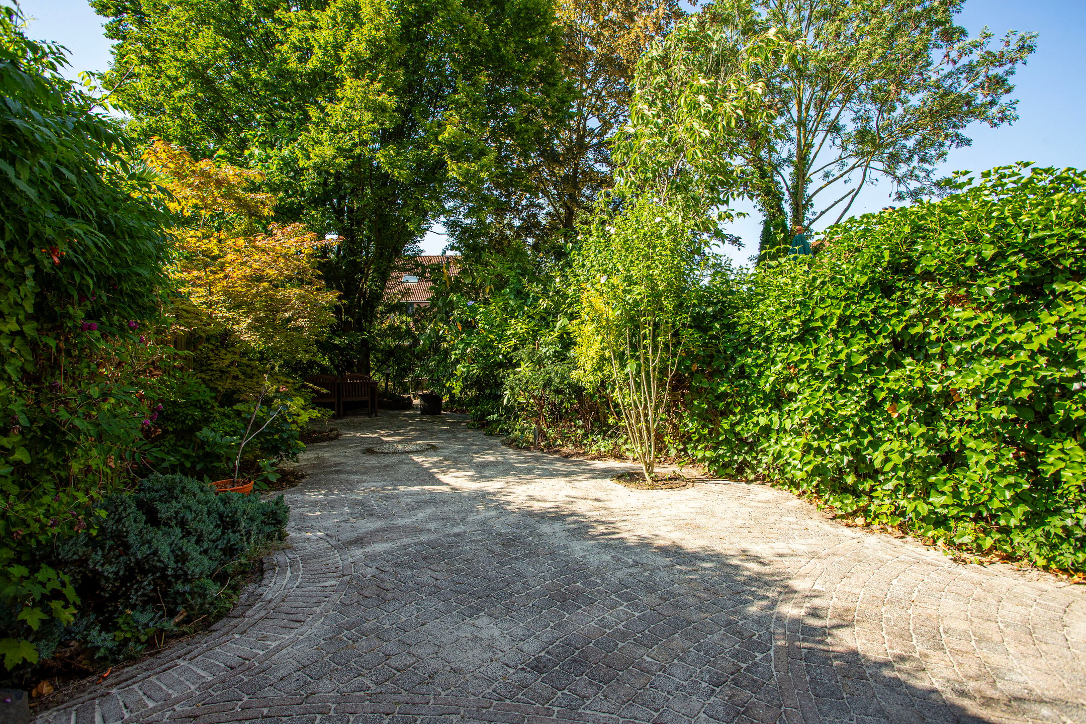 Photo 9 of Goudvink 34