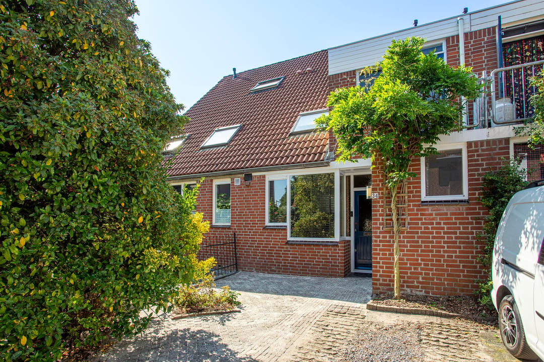 Photo 31 of Goudvink 34