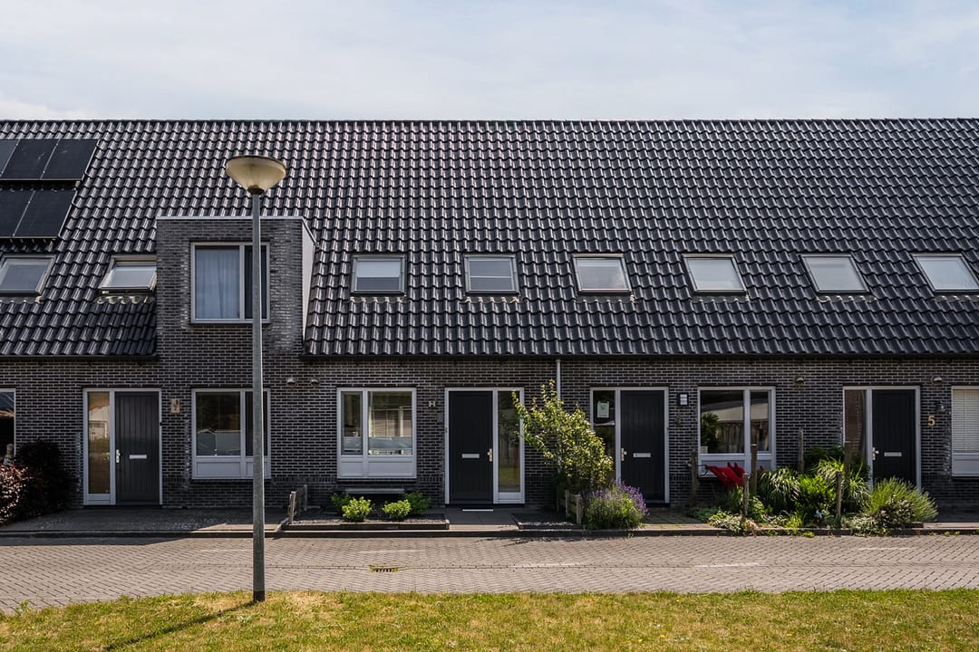 Foto 1 van Muntenerf 3