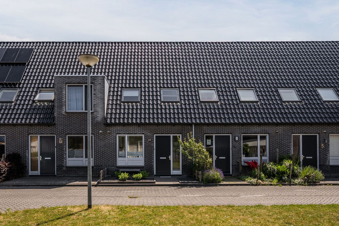Foto 1 van Muntenerf 3