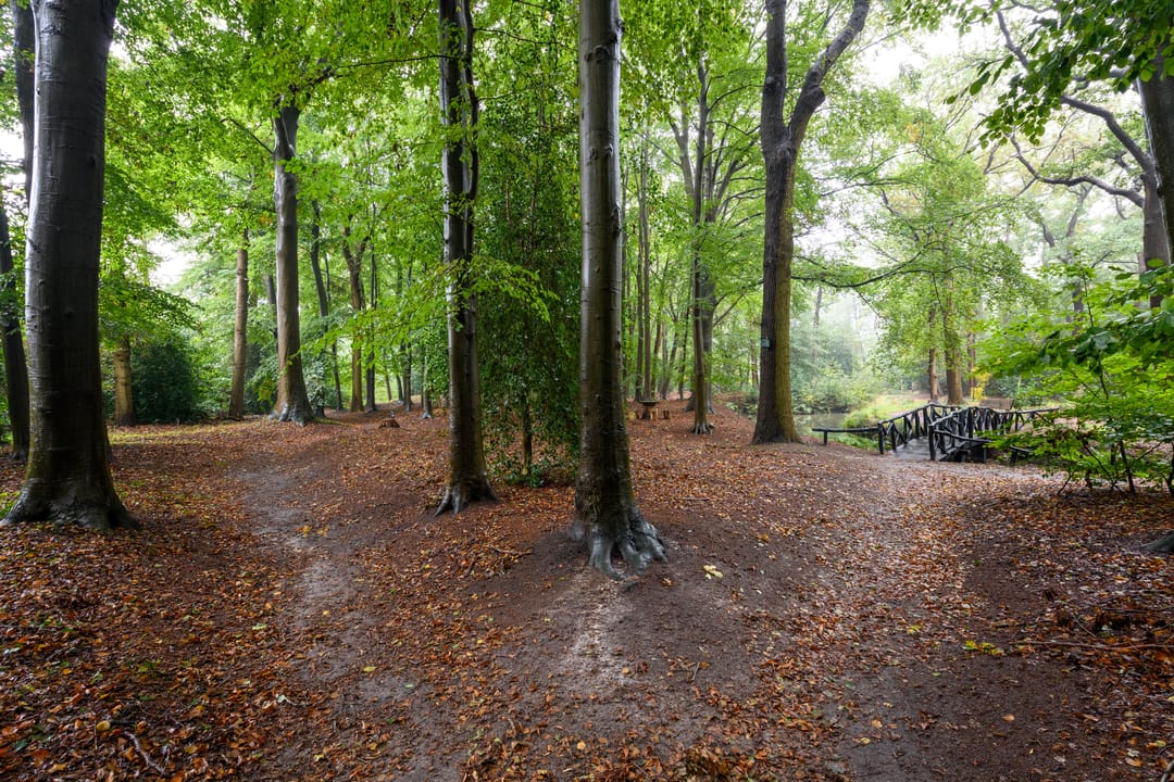 Foto 41 van Molenhoek 42