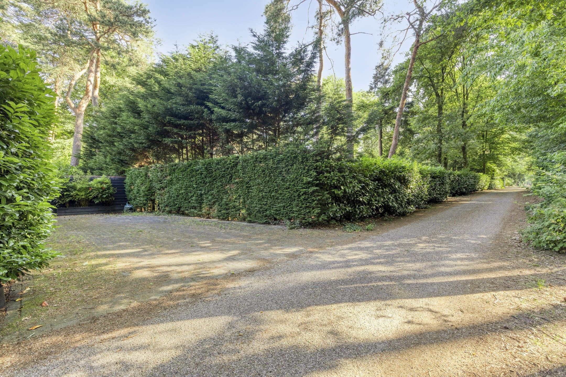 studio freehold villa in Baarle-Nassau — photo 4 of 5