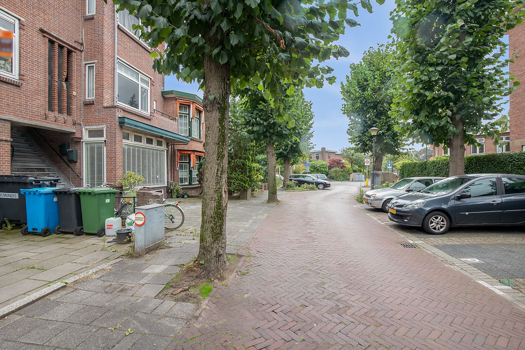Foto 45 van Ieplaan 149