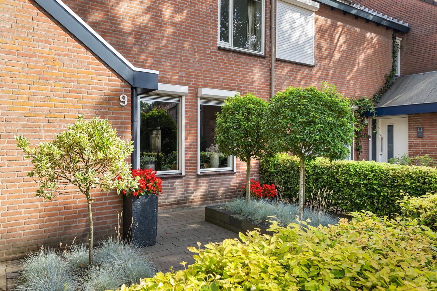 Foto 1 van Witpoel 9