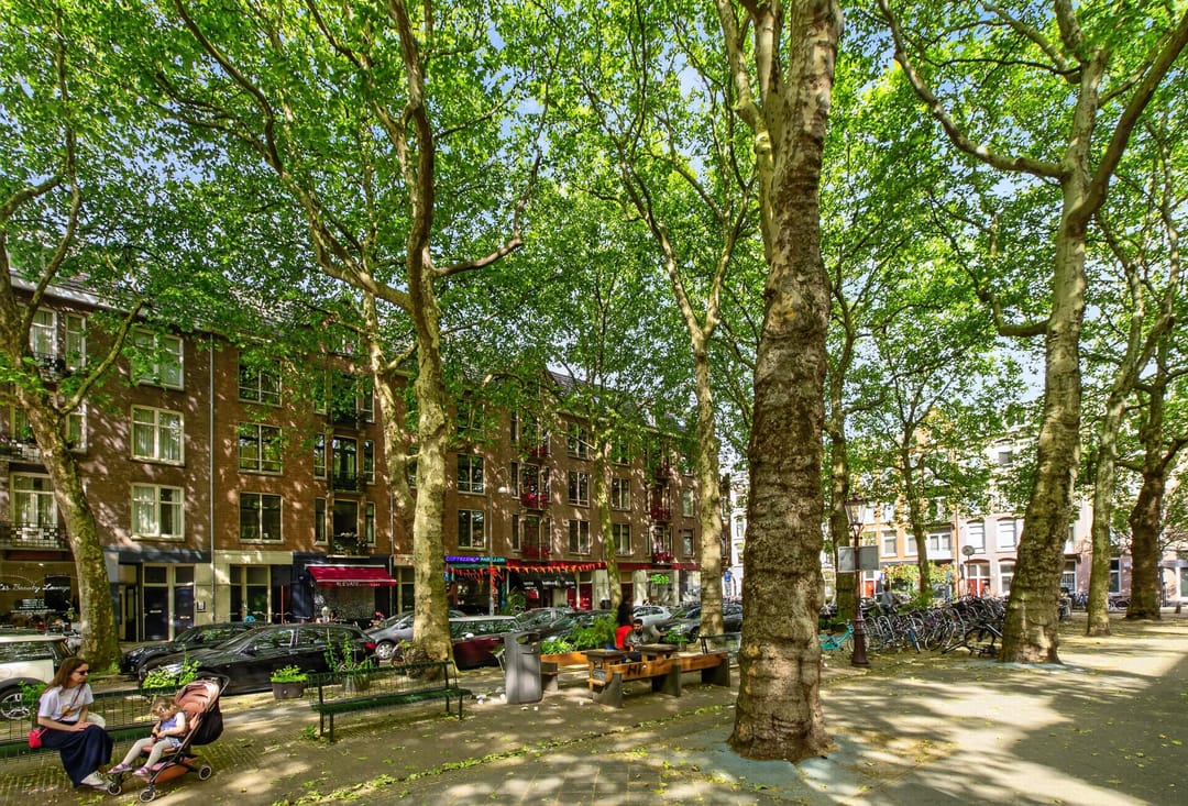 Photo 56 of Van der Helstplein 10-1