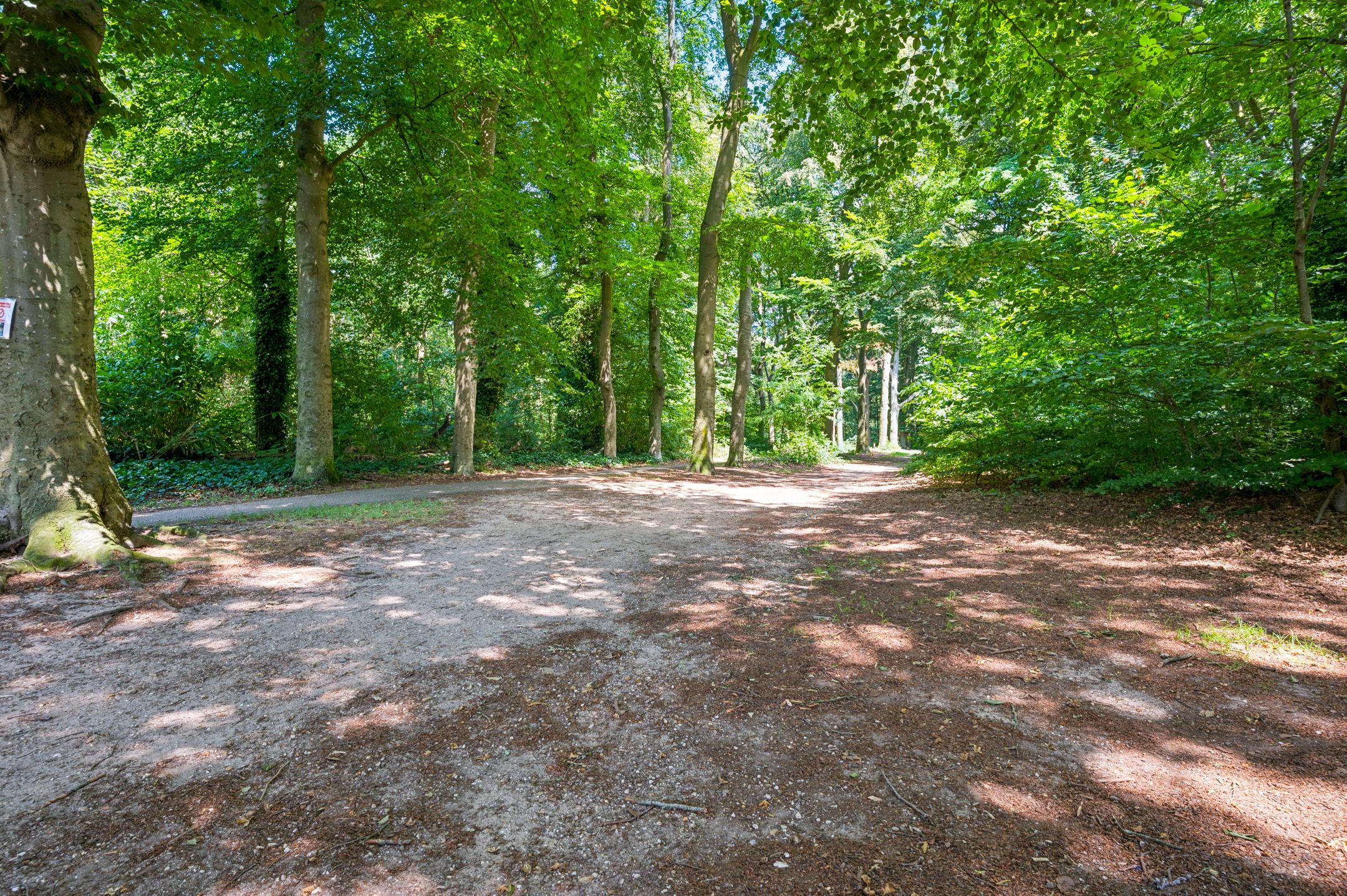 Foto 42 van Majoor Jacomettiweg 1