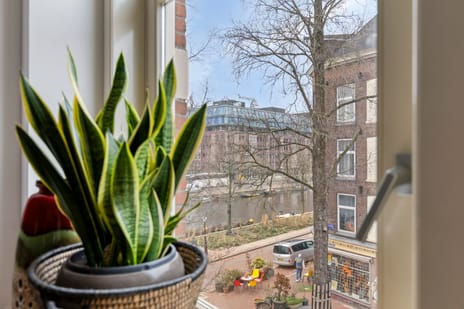 Gerard Doustraat thumbnail