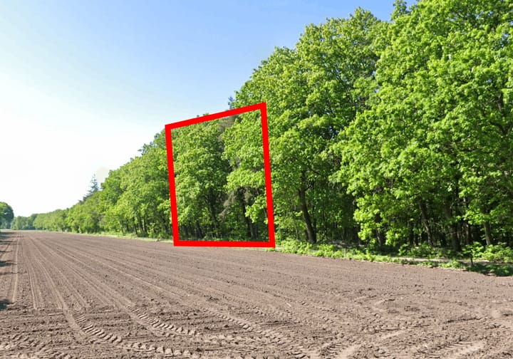 Hanendorperweg, Emst