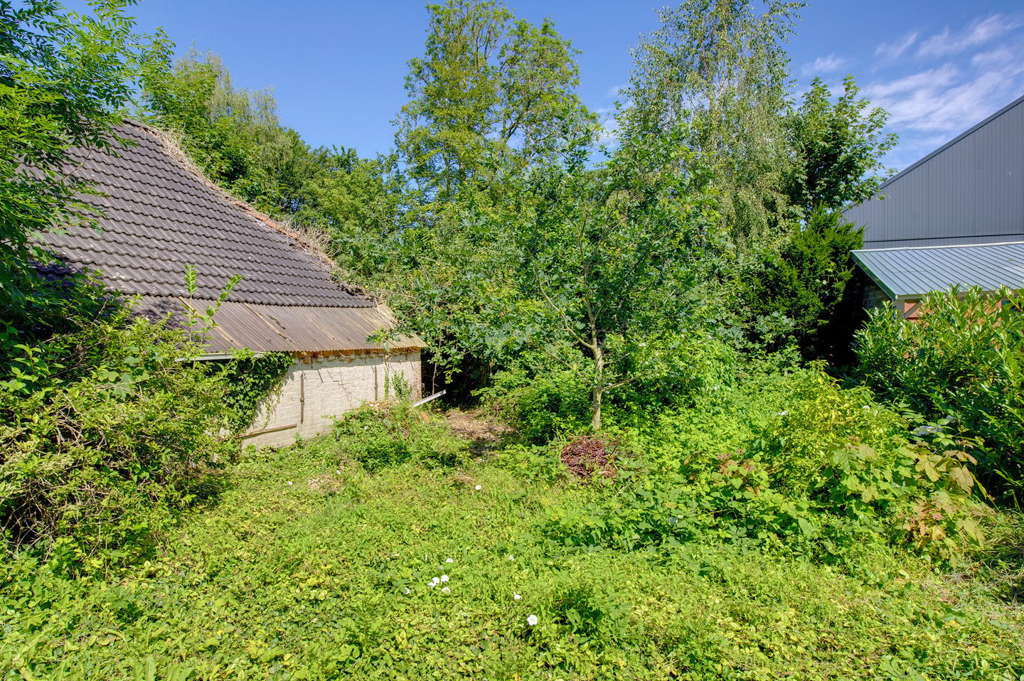 Photo 5 of Hoofdweg 113