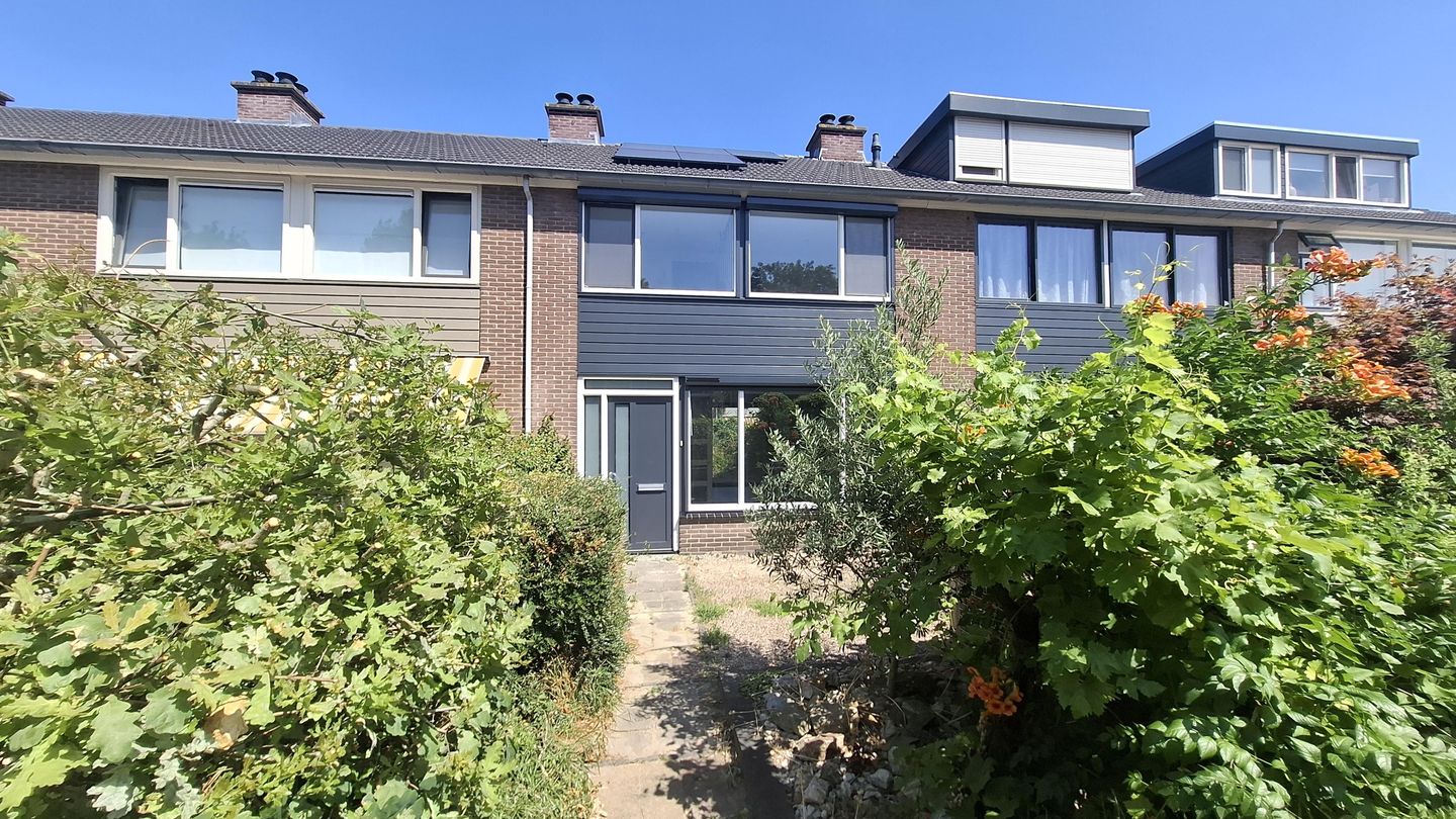 Foto 1 van Rijstgras 71
