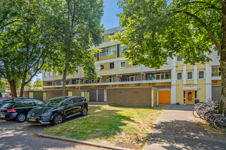 Montgomerylaan thumbnail