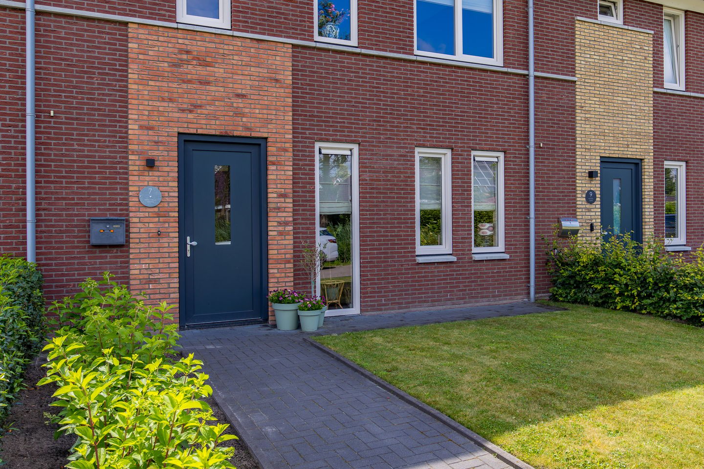 Foto 4 van Pimpernel 7