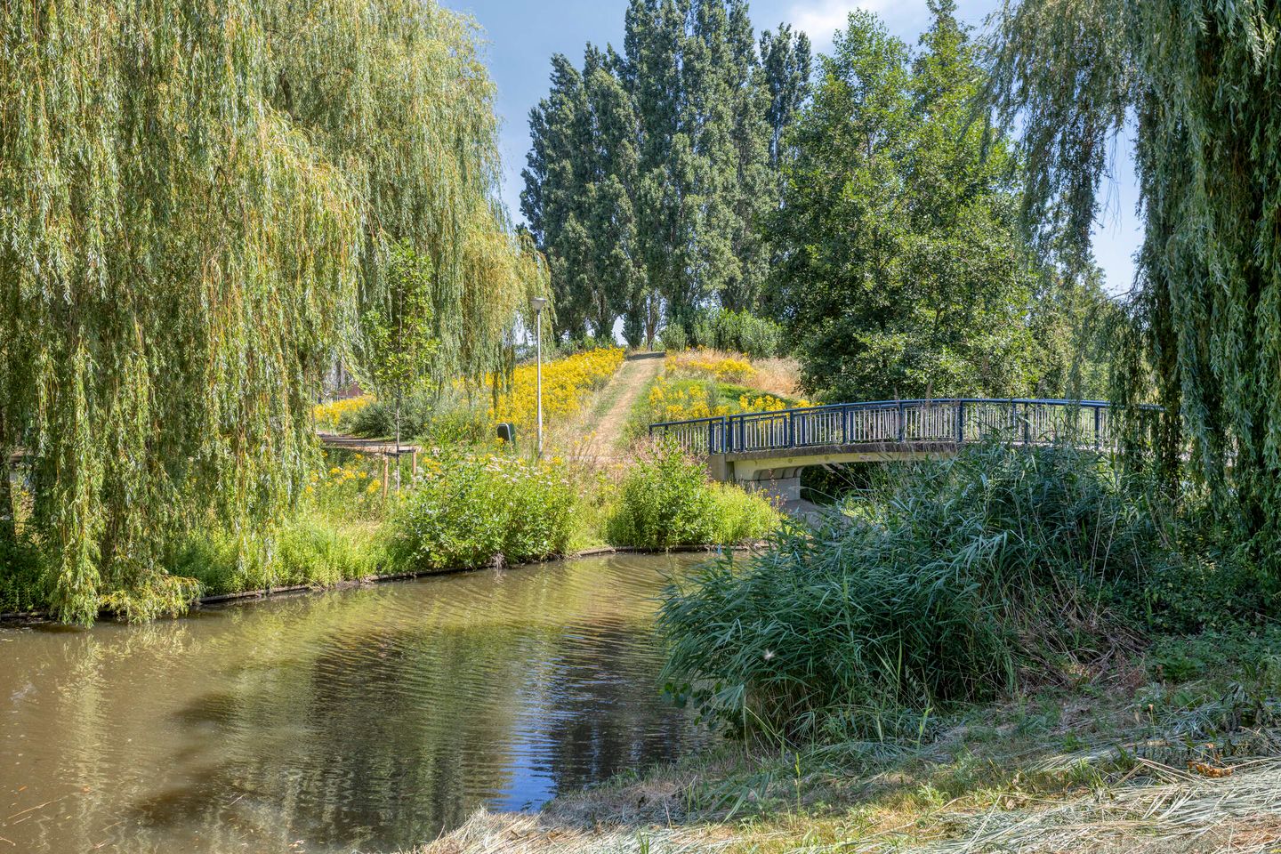 Photo 34 of Maarheezepark 31