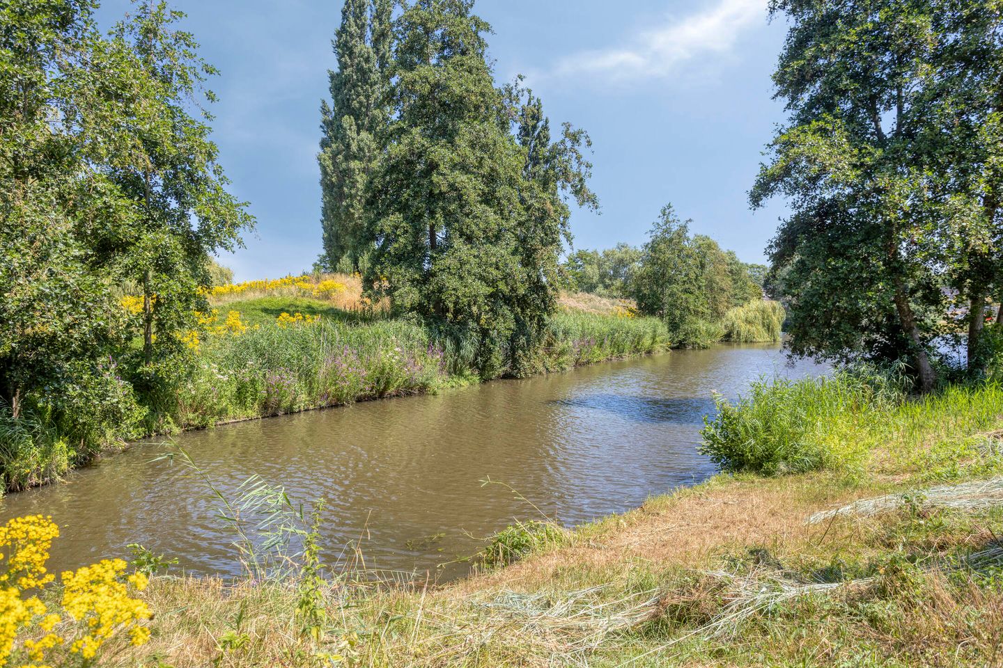 Photo 35 of Maarheezepark 31