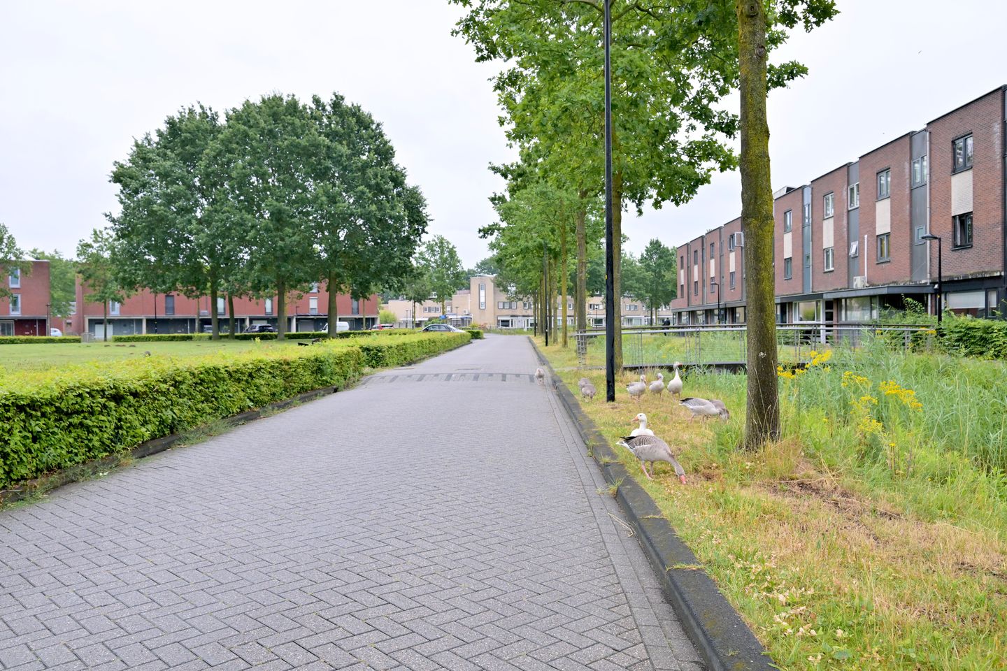 Photo 44 of Cornelis Lelylaan 33