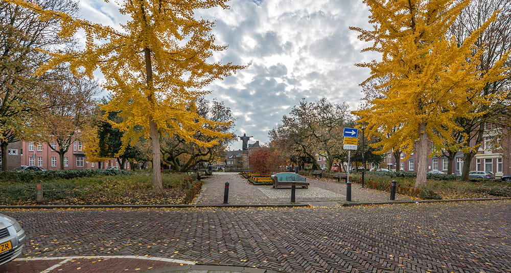 Photo 16 of Tempsplein 1-B