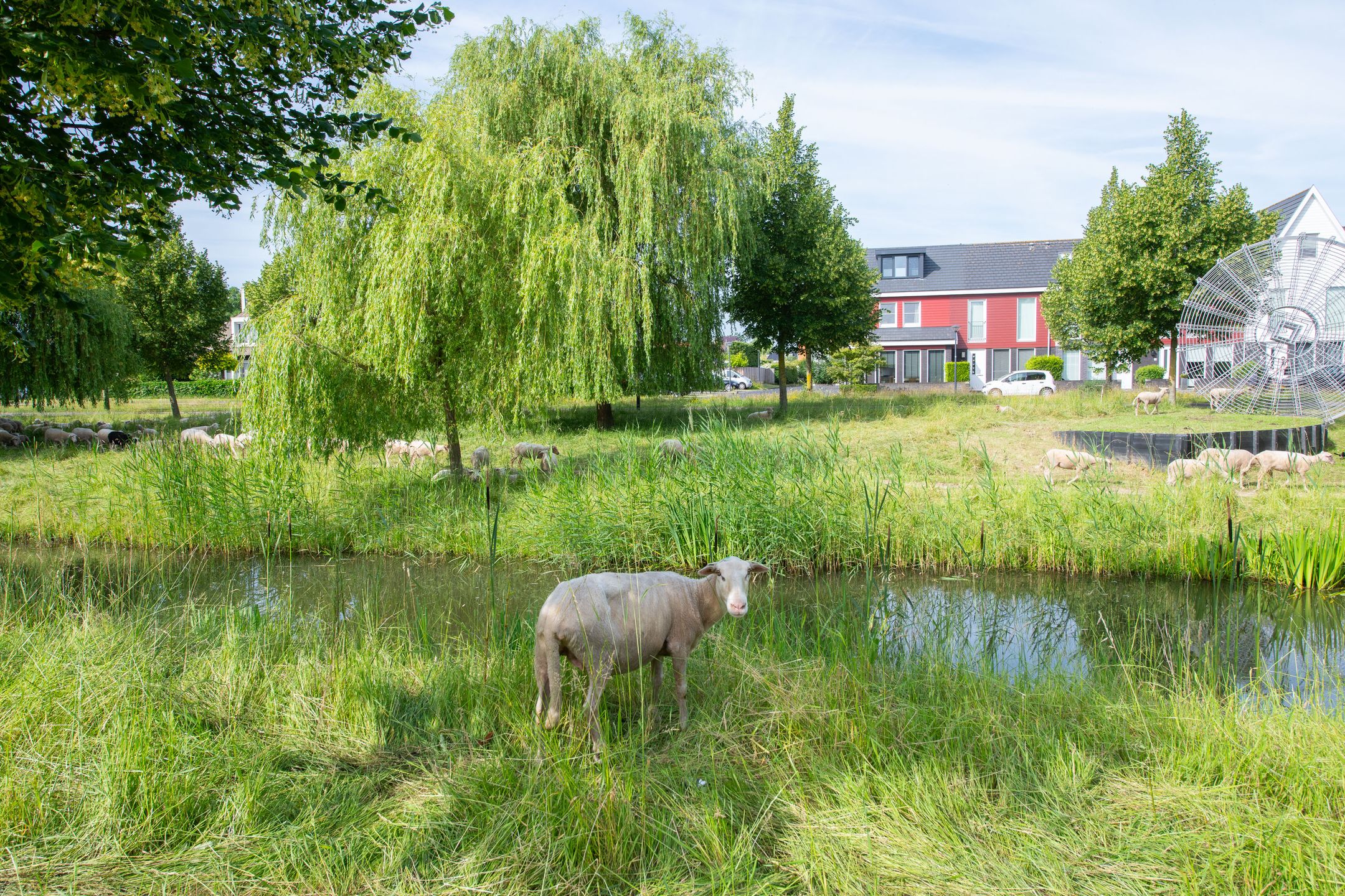 Photo 54 of Paaldijk 2