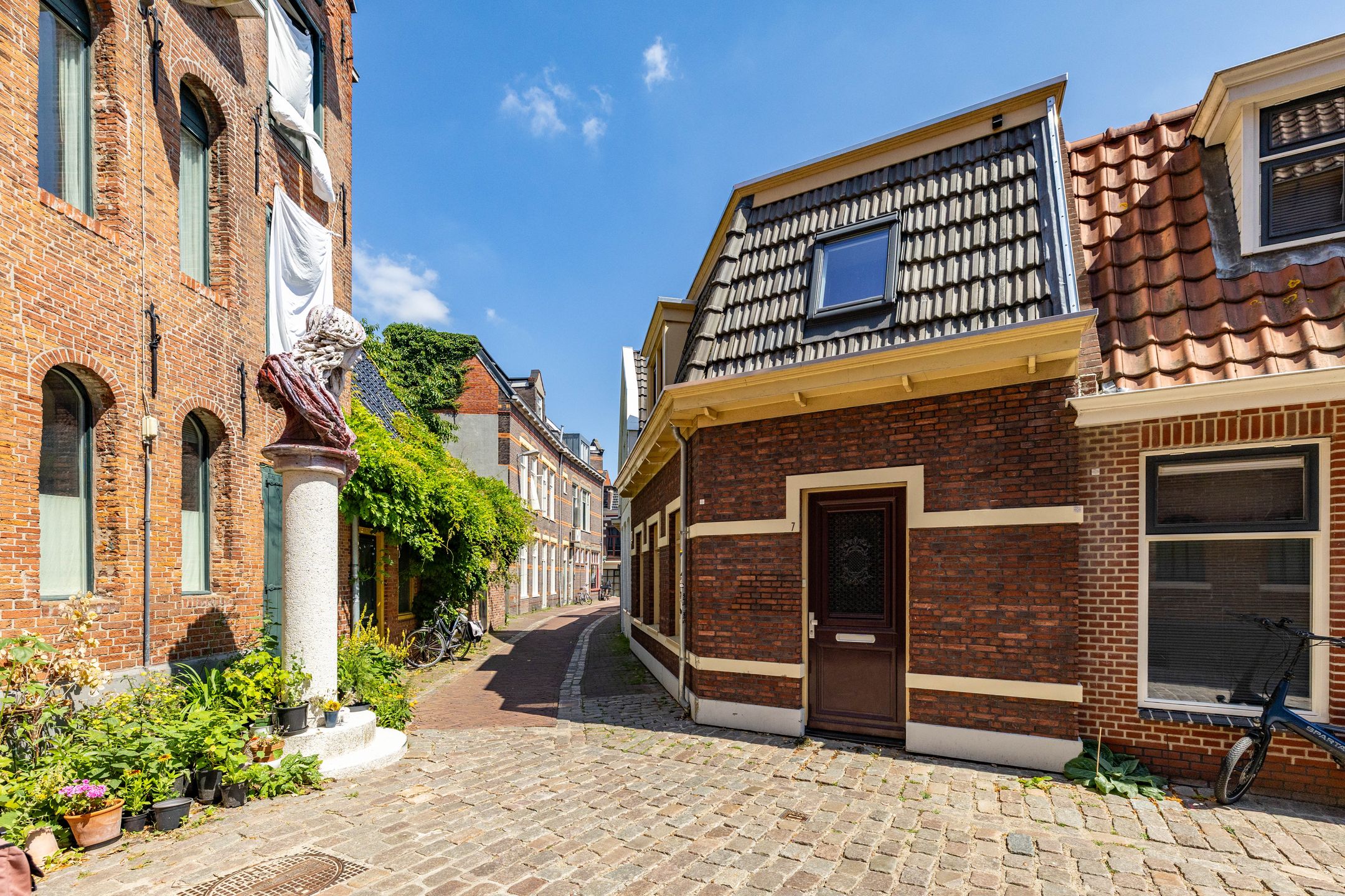 Vishoek 7 