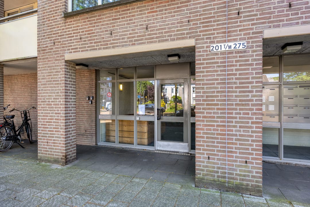 Photo 8 of Wilhelminastraat 203